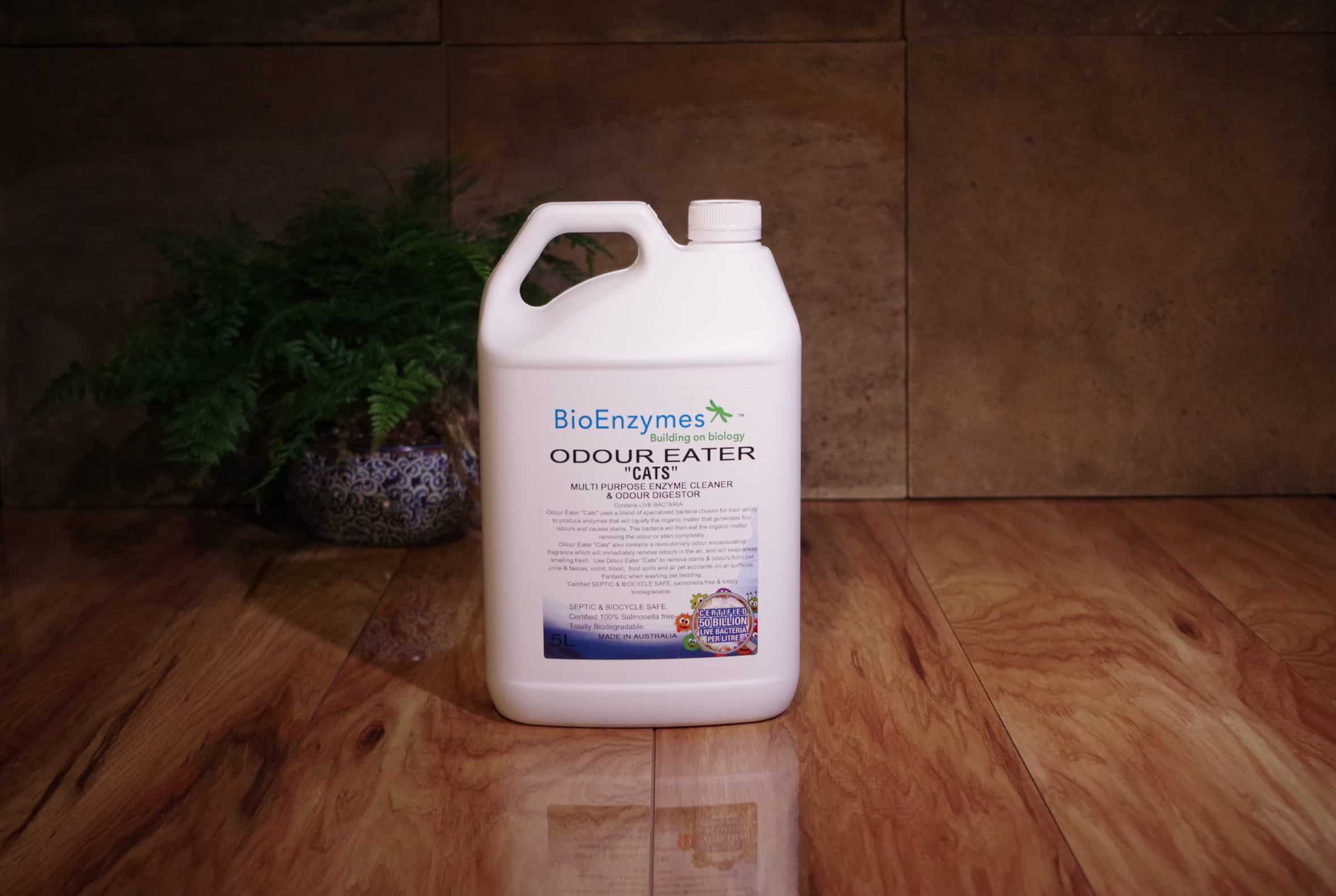 Odour Eater Cats Stain & Odour Eliminator for Cat and Pet Stains and