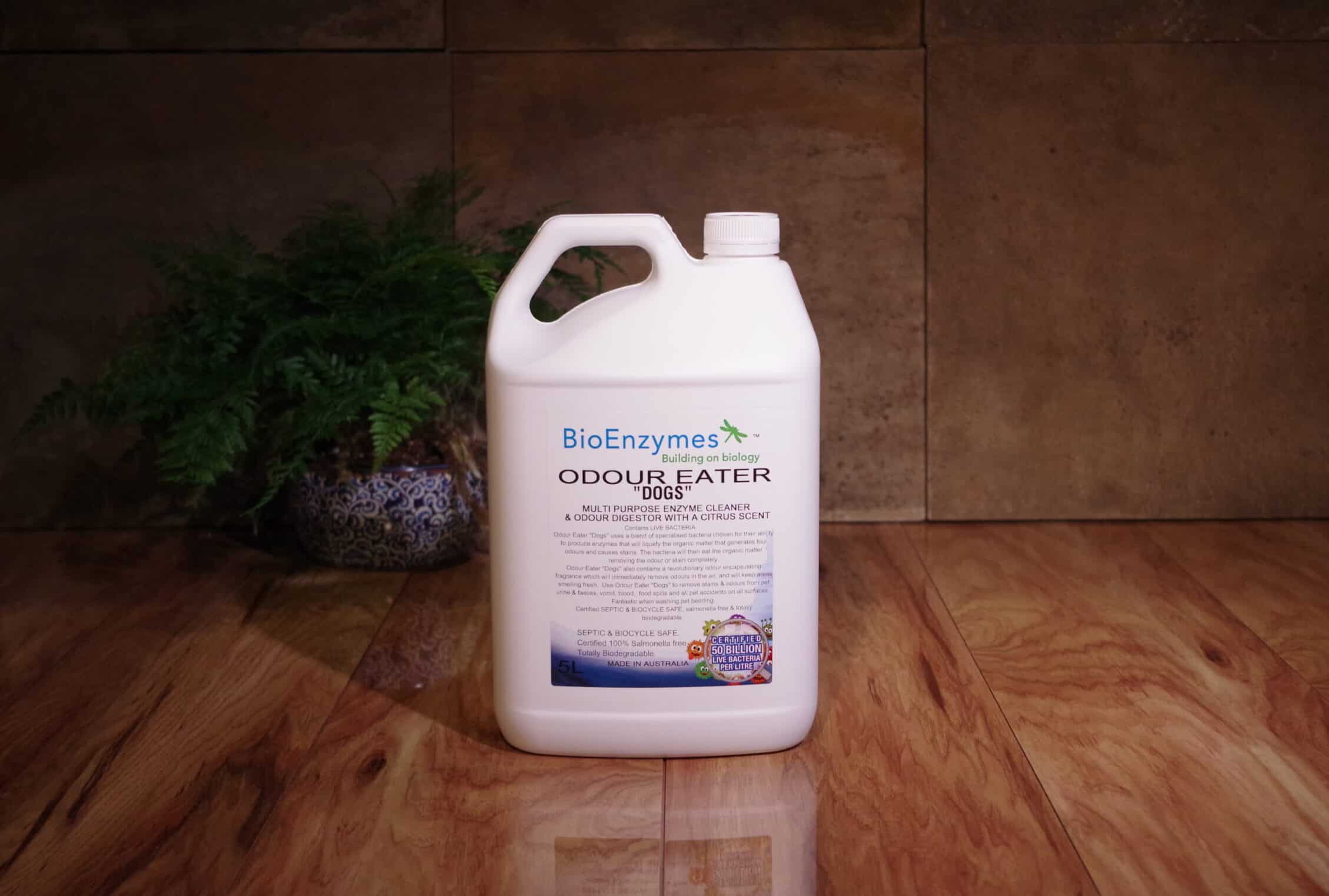enzyme cleaner for wood floors
